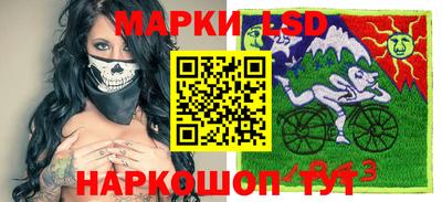 шишки Усть-Илимск