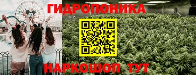 шишки Усть-Илимск